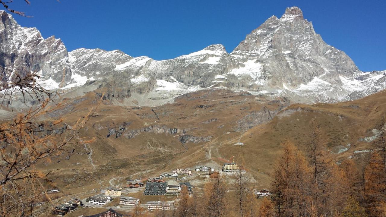 Residence Redicervinia Breuil-Cervinia Dış mekan fotoğraf